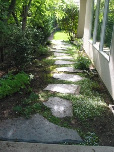 McConnell-path