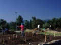CDS-pre-planting-stakes01