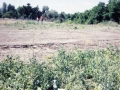 CDS-site-prep02