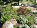 Greene-Thompson---sun,-dt-planting