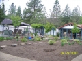 Marshall---First-planting-2010