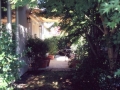 McConnell-back---shaded-lawn03