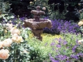 Reavis---rose-garden-at-fountain04